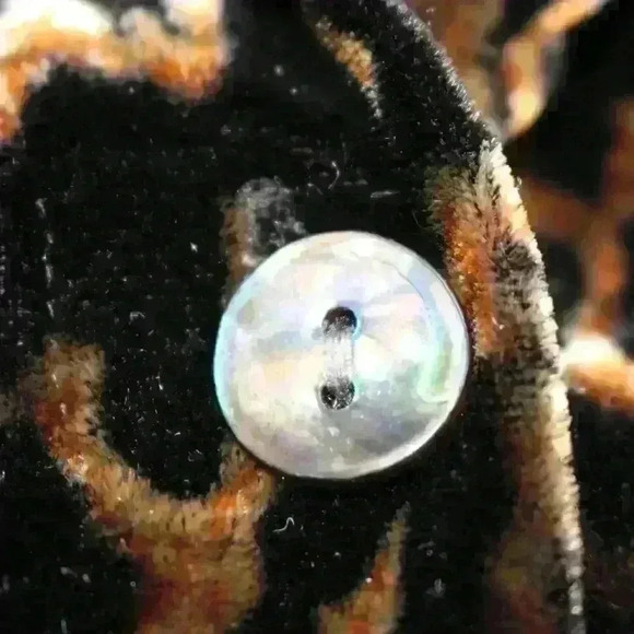 VINTAGE CHICO'S 80s 90s Silk Blend Velour Velvet Cheetah Print Button Up Top Med - Picture 5 of 12